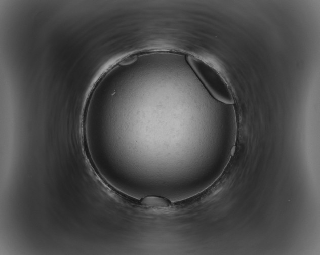 X0000087741191200705071046