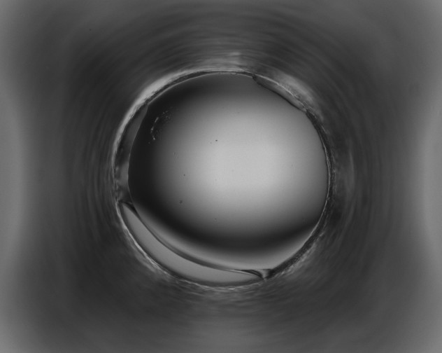 X0000087741192200705071046