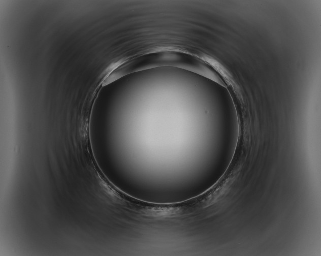 X0000087741193200705071046
