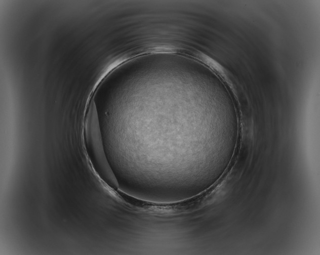 X0000087741194200705071046