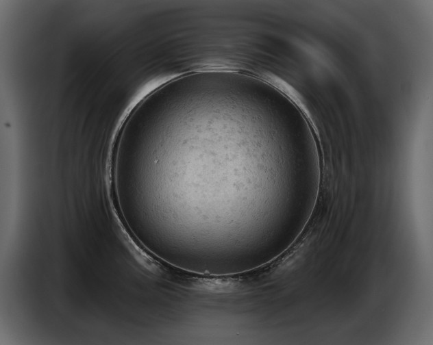 X0000087741195200705071046