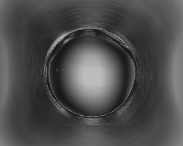 X0000087741196200705071046