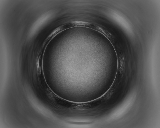 X0000087741198200705071046