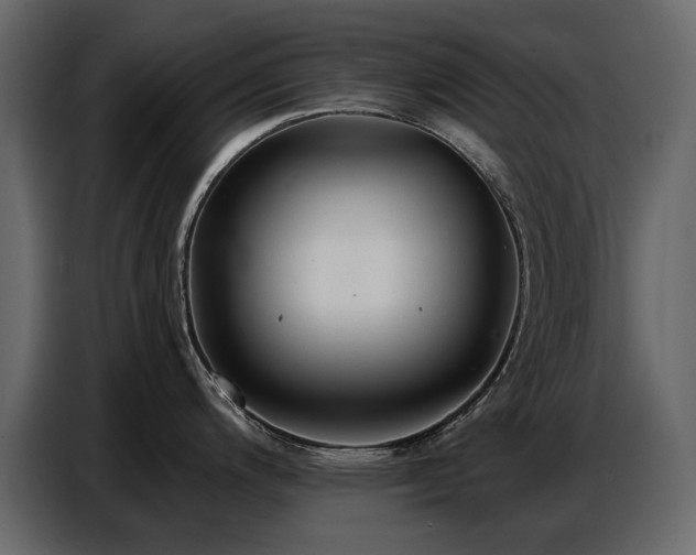 X0000087741200200705071046