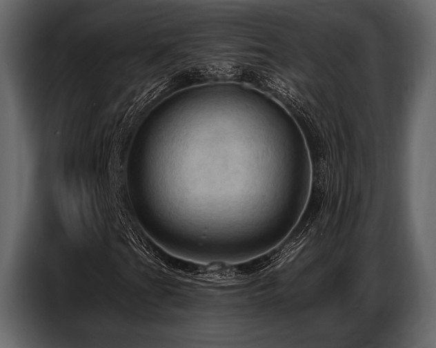 X0000087741201200705071045
