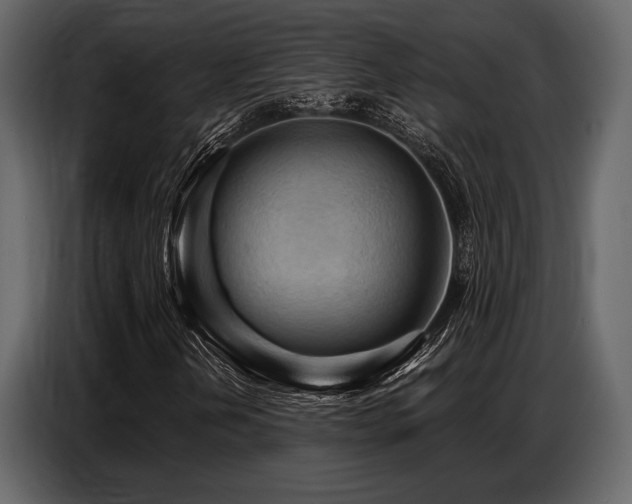 X0000087741202200705071045