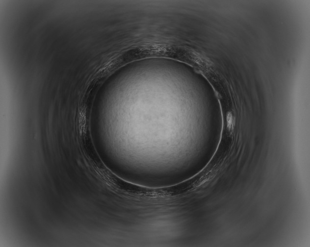 X0000087741203200705071045