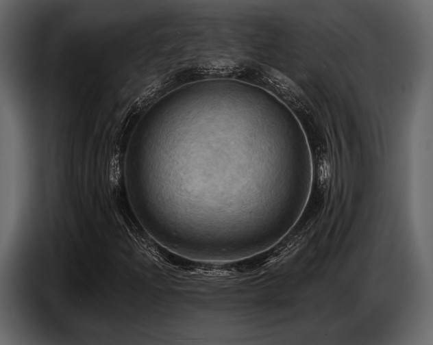 X0000087741204200705071045