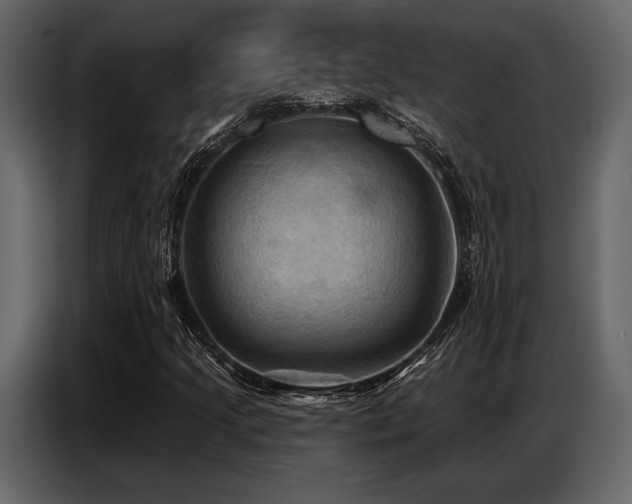 X0000087741205200705071045