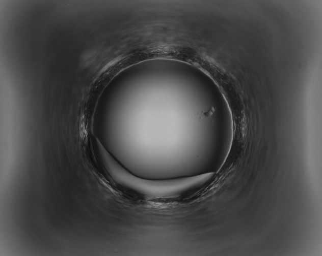 X0000087741206200705071046