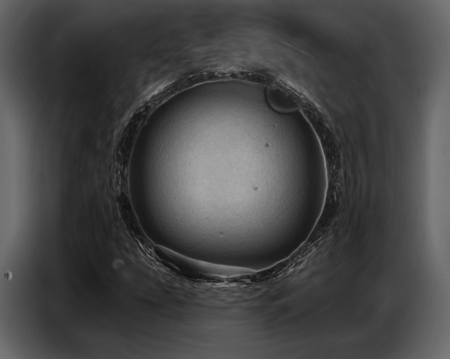 X0000087741207200705071046