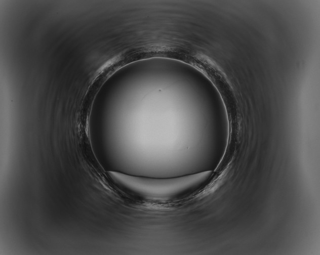 X0000087741210200705071046