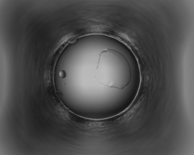 X0000087741211200705071046