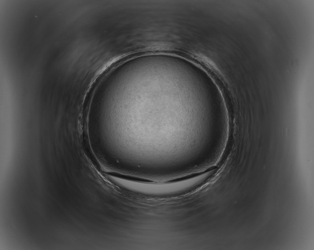 X0000087741212200705071046