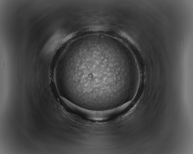 X0000087741213200705071046