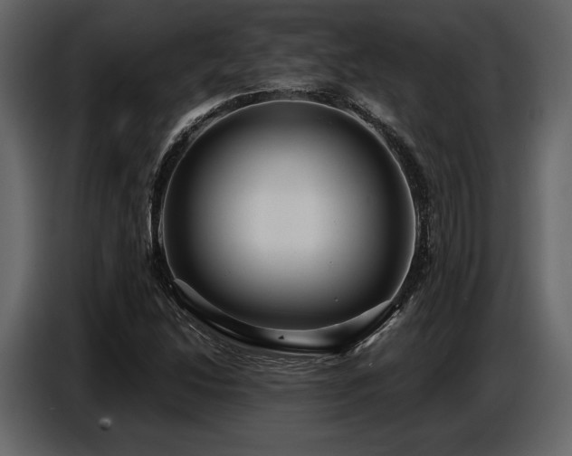 X0000087741214200705071046