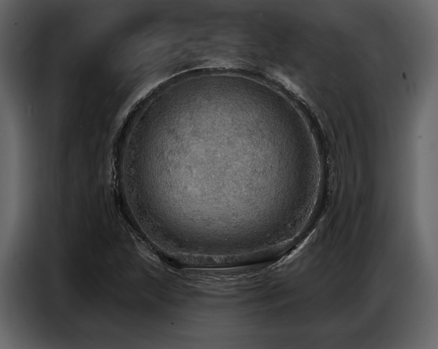 X0000087741215200705071046
