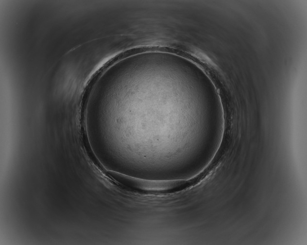 X0000087741216200705071046