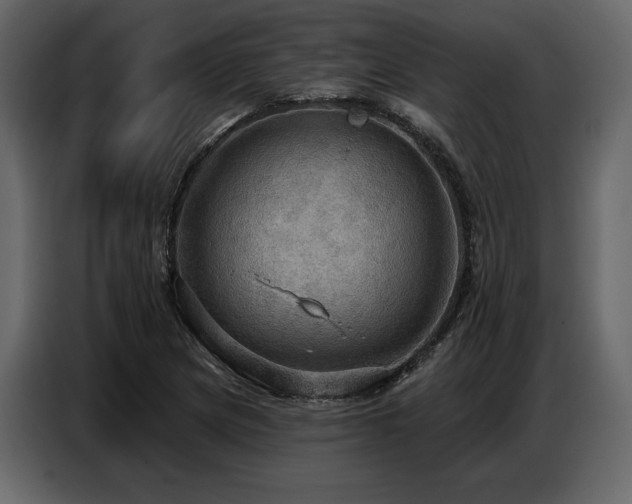 X0000087741217200705071046