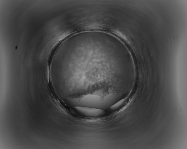 X0000087741219200705071046