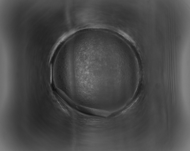 X0000087741223200705071046