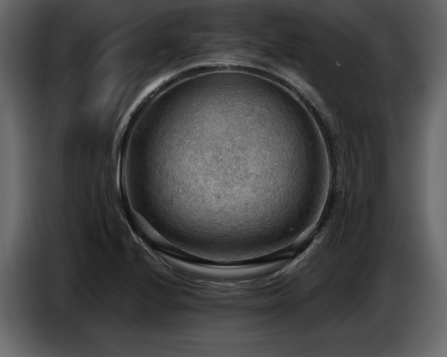 X0000087741224200705071046