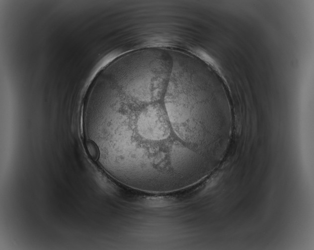 X0000087741227200705071046