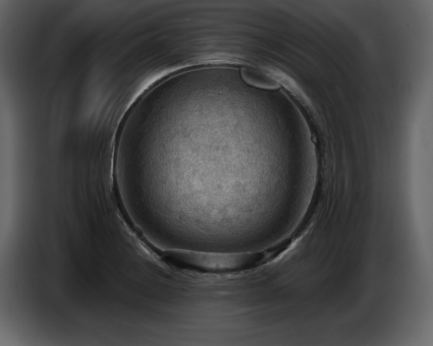 X0000087741228200705071046