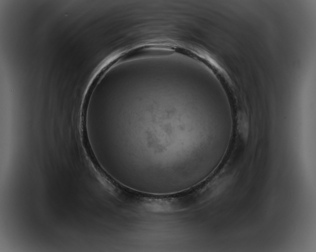 X0000087741229200705071046