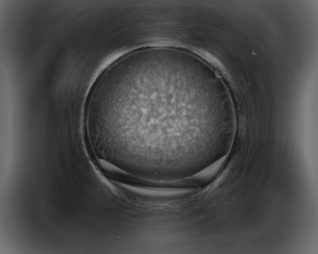 X0000087741231200705071046