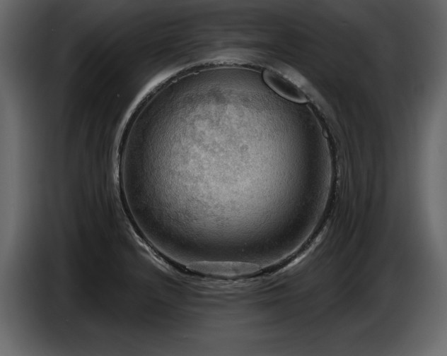 X0000087741232200705071046