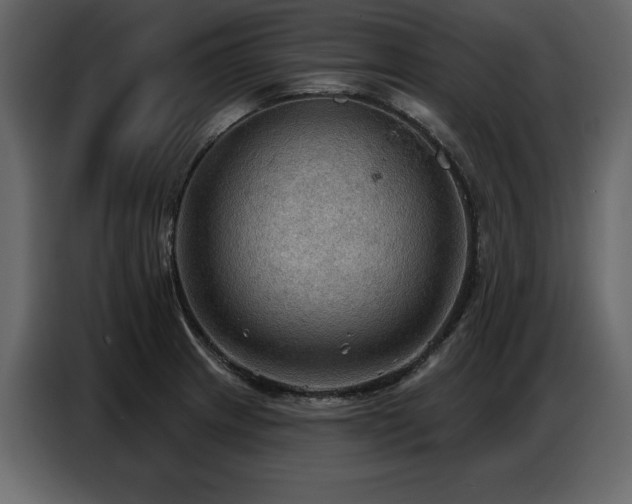 X0000087741233200705071046