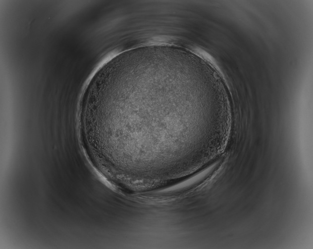 X0000087741235200705071046
