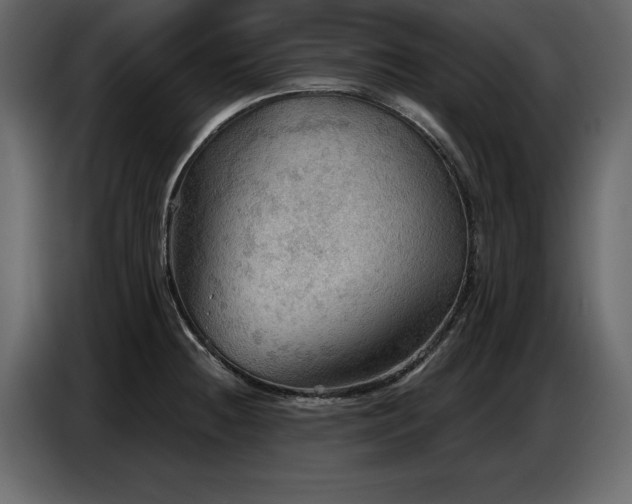 X0000087741236200705071046