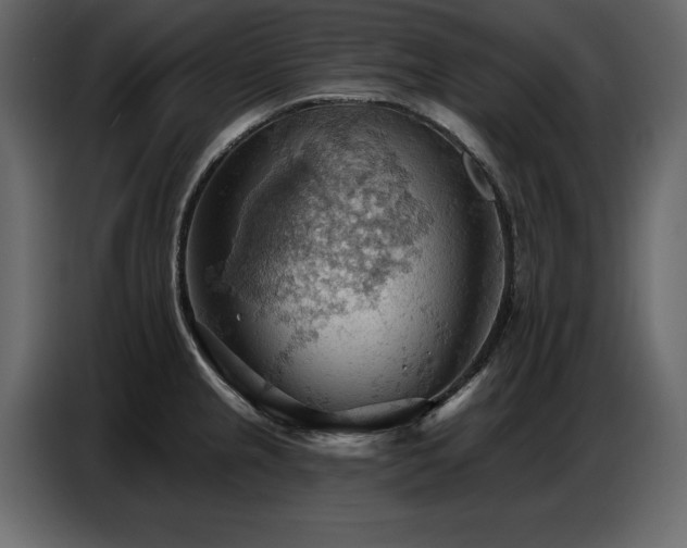 X0000087741237200705071046
