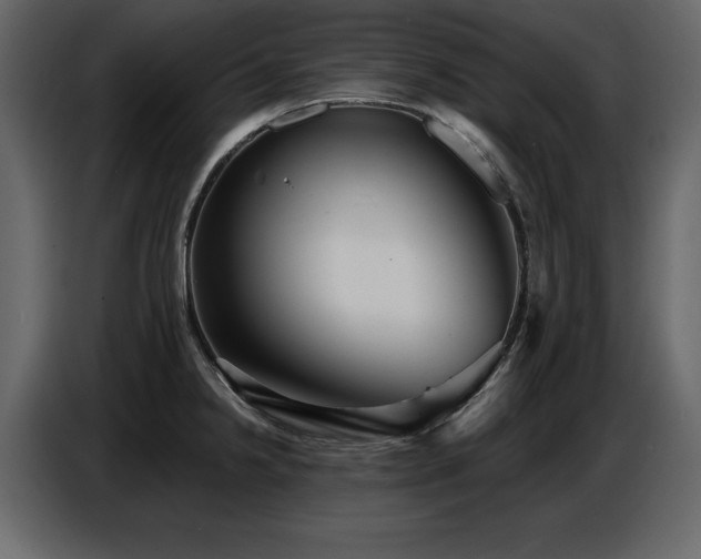 X0000087741238200705071046