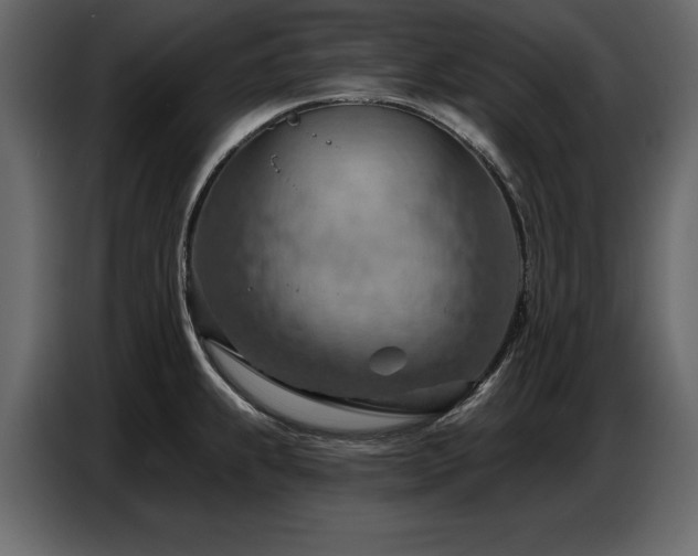 X0000087741239200705071046