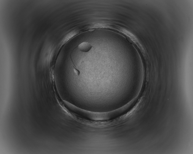 X0000087741241200705071046
