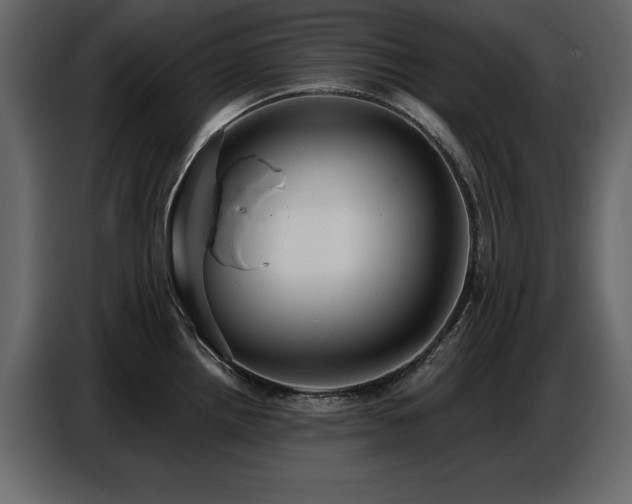 X0000087741242200705071046