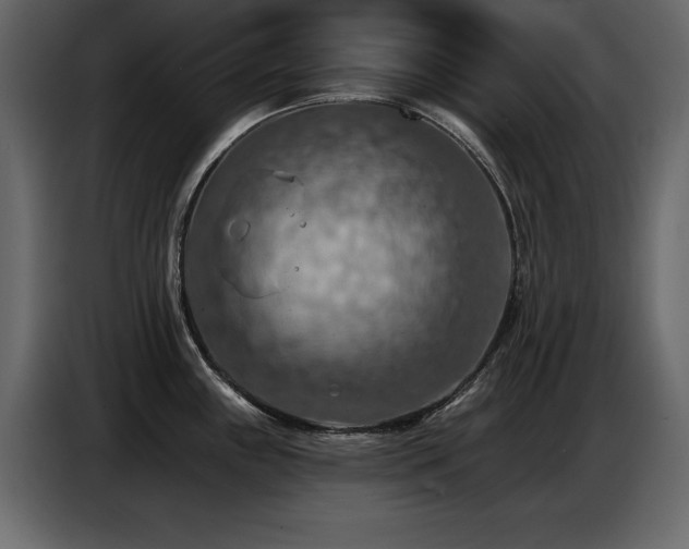 X0000087741243200705071046