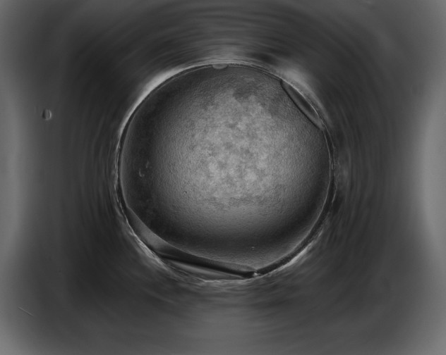 X0000087741244200705071046
