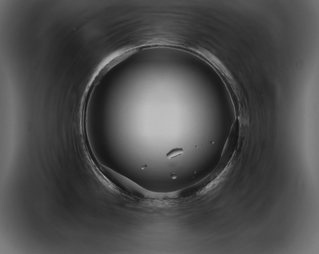 X0000087741246200705071046