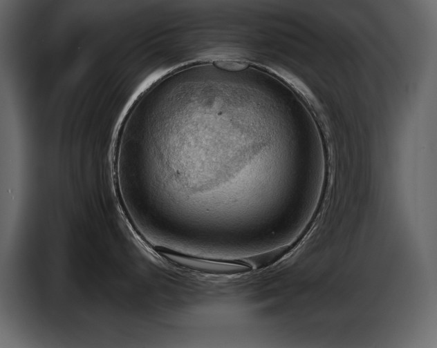 X0000087741248200705071046