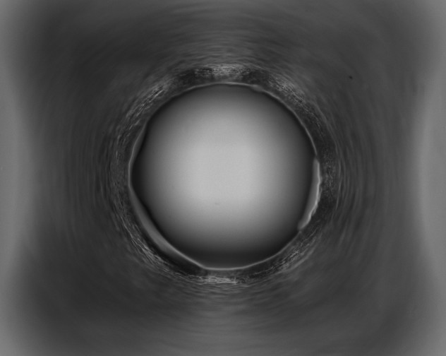 X0000087741249200705071045
