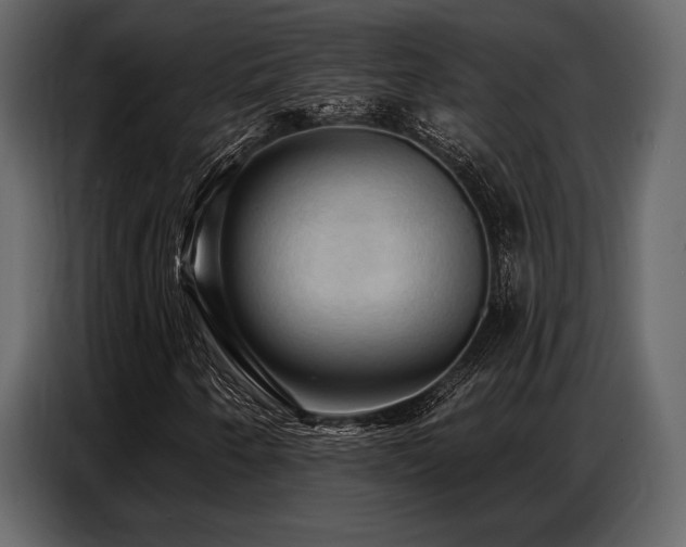 X0000087741250200705071045