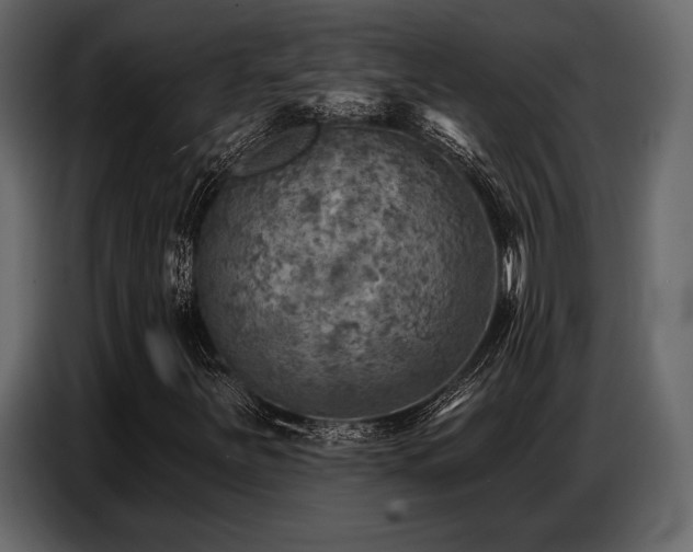 X0000087741251200705071045