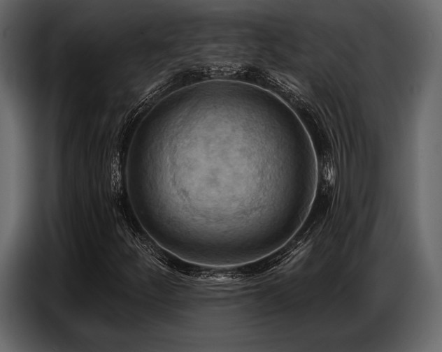 X0000087741252200705071045