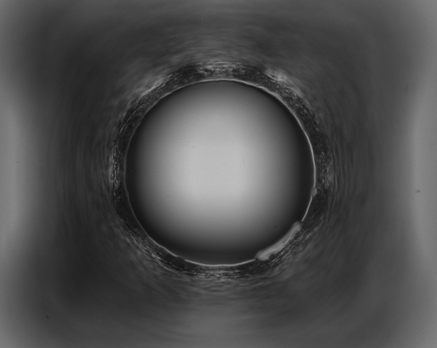 X0000087741253200705071045