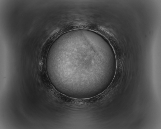 X0000087741254200705071045