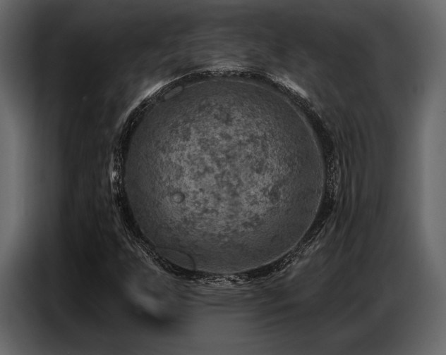 X0000087741255200705071045